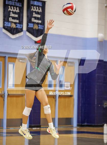 Thumbnail 2 in JV: Palo Verde @ Centennial photogallery.