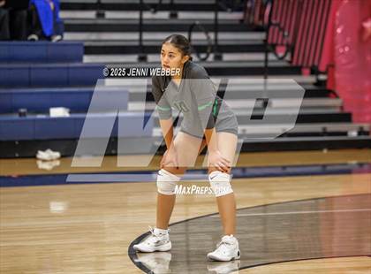 Thumbnail 2 in JV: Palo Verde @ Centennial photogallery.