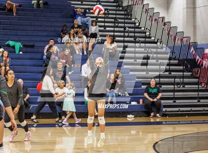 Thumbnail 2 in JV: Palo Verde @ Centennial photogallery.