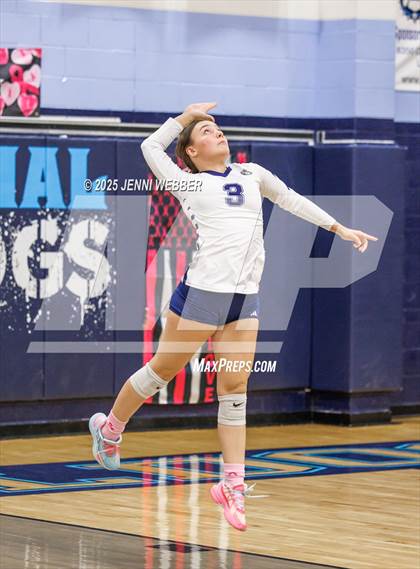 Thumbnail 3 in JV: Palo Verde @ Centennial photogallery.