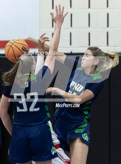 Thumbnail 1 in Peoria Notre Dame vs Alton (Illinois Classic) photogallery.