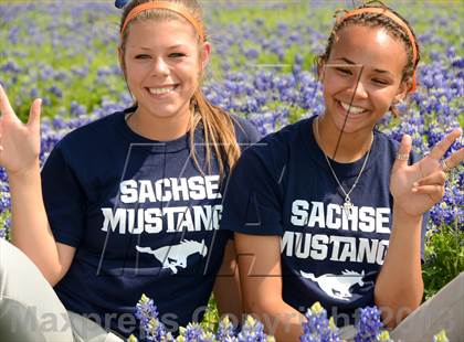 Thumbnail 3 in Sachse @ Lakeview Centennial  photogallery.