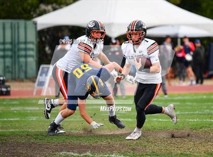 Thumbnail 2 in Los Gatos @ Menlo School photogallery.