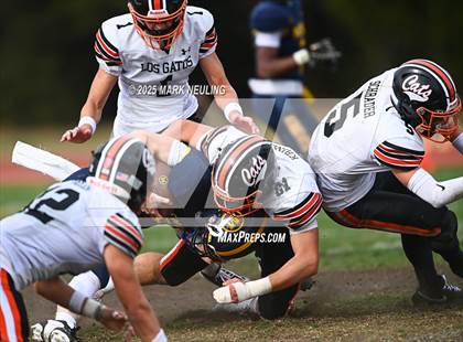 Thumbnail 2 in Los Gatos @ Menlo School photogallery.