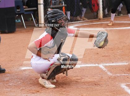 Thumbnail 3 in Williams Field @ North Canyon photogallery.