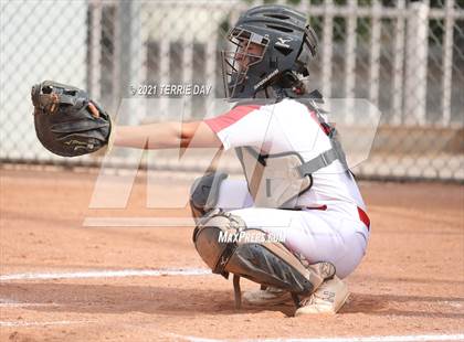 Thumbnail 2 in Williams Field @ North Canyon photogallery.