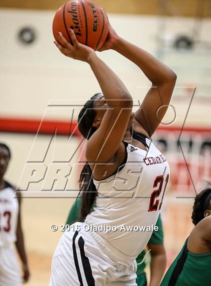 Thumbnail 2 in DeSoto @ Cedar Hill photogallery.
