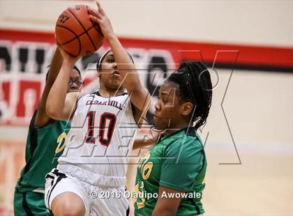 Thumbnail 1 in DeSoto @ Cedar Hill photogallery.