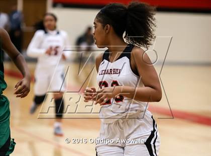 Thumbnail 1 in DeSoto @ Cedar Hill photogallery.