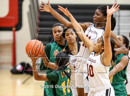 Thumbnail 2 in DeSoto @ Cedar Hill photogallery.