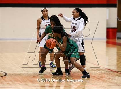Thumbnail 3 in DeSoto @ Cedar Hill photogallery.