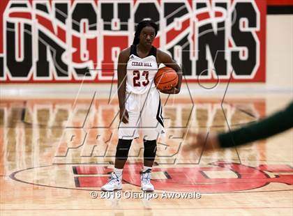 Thumbnail 2 in DeSoto @ Cedar Hill photogallery.