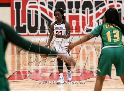 Thumbnail 3 in DeSoto @ Cedar Hill photogallery.