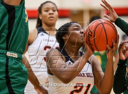 Thumbnail 2 in DeSoto @ Cedar Hill photogallery.