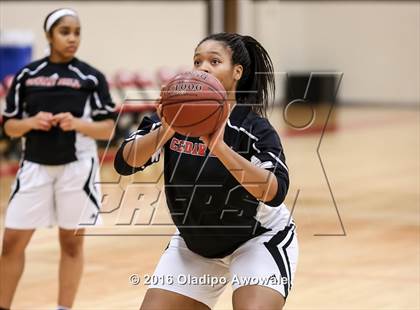 Thumbnail 3 in DeSoto @ Cedar Hill photogallery.