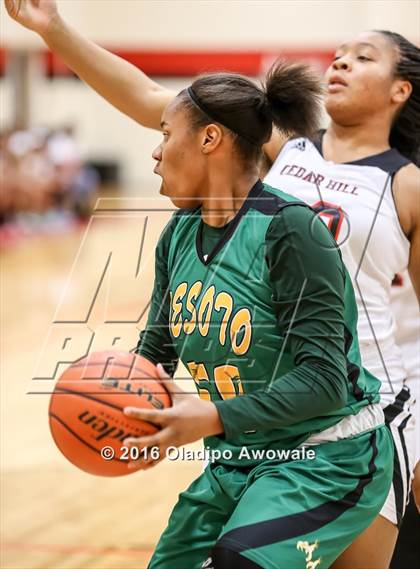 Thumbnail 1 in DeSoto @ Cedar Hill photogallery.