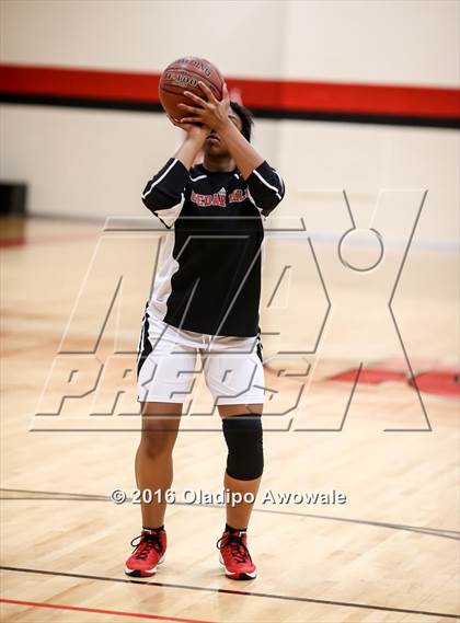 Thumbnail 1 in DeSoto @ Cedar Hill photogallery.