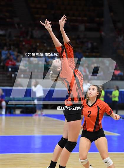 Thumbnail 2 in Lamar vs University (CHSAA 3A 3rd Round) photogallery.