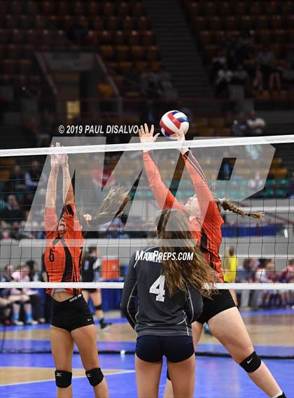 Thumbnail 2 in Lamar vs University (CHSAA 3A 3rd Round) photogallery.