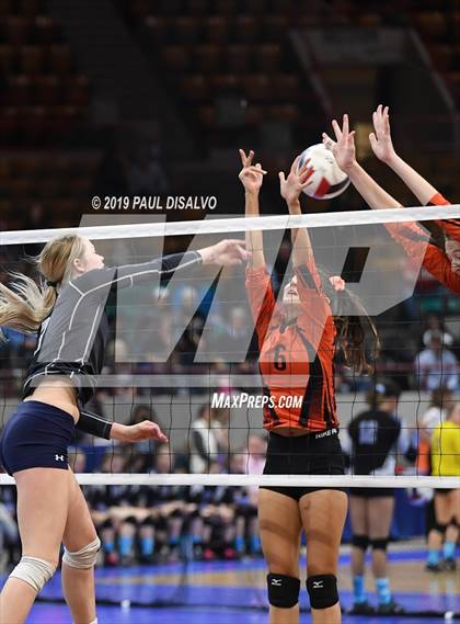 Thumbnail 1 in Lamar vs University (CHSAA 3A 3rd Round) photogallery.