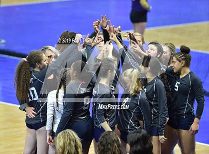 Thumbnail 1 in Lamar vs University (CHSAA 3A 3rd Round) photogallery.