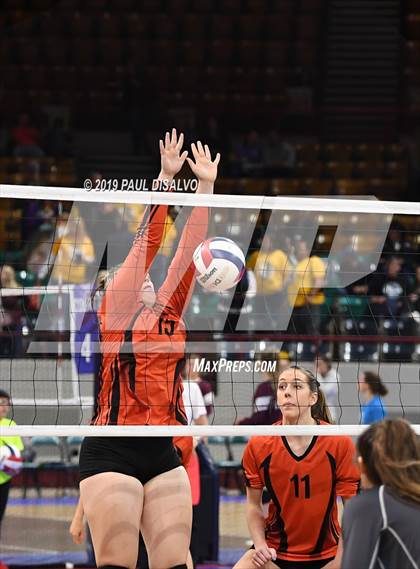 Thumbnail 2 in Lamar vs University (CHSAA 3A 3rd Round) photogallery.