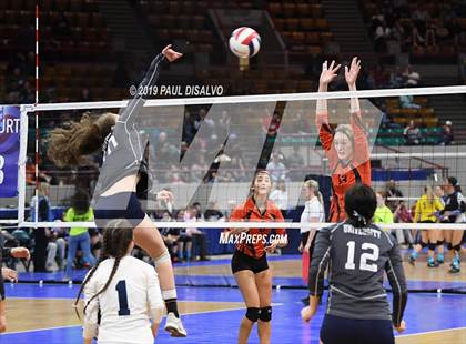 Thumbnail 1 in Lamar vs University (CHSAA 3A 3rd Round) photogallery.