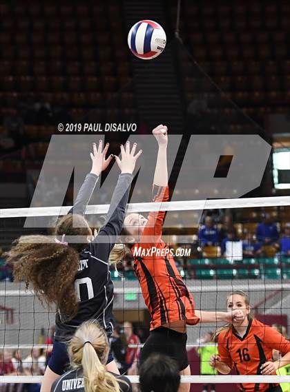 Thumbnail 1 in Lamar vs University (CHSAA 3A 3rd Round) photogallery.
