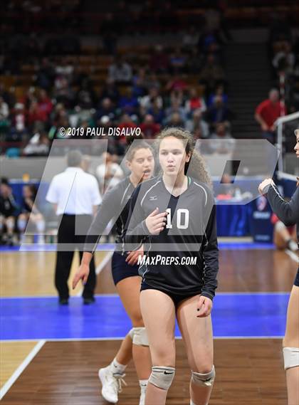 Thumbnail 1 in Lamar vs University (CHSAA 3A 3rd Round) photogallery.