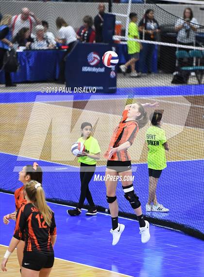 Thumbnail 2 in Lamar vs University (CHSAA 3A 3rd Round) photogallery.