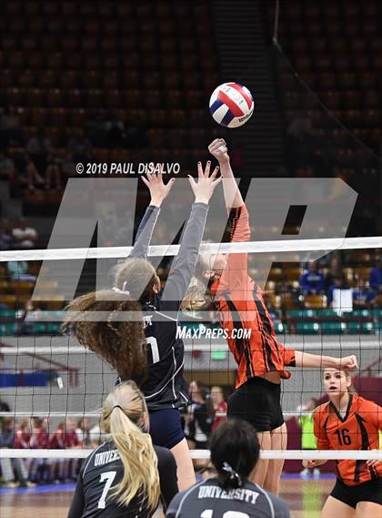 Thumbnail 3 in Lamar vs University (CHSAA 3A 3rd Round) photogallery.