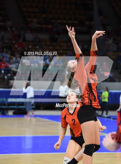 Thumbnail 1 in Lamar vs University (CHSAA 3A 3rd Round) photogallery.