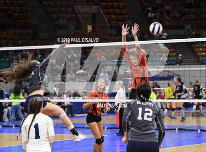 Thumbnail 2 in Lamar vs University (CHSAA 3A 3rd Round) photogallery.