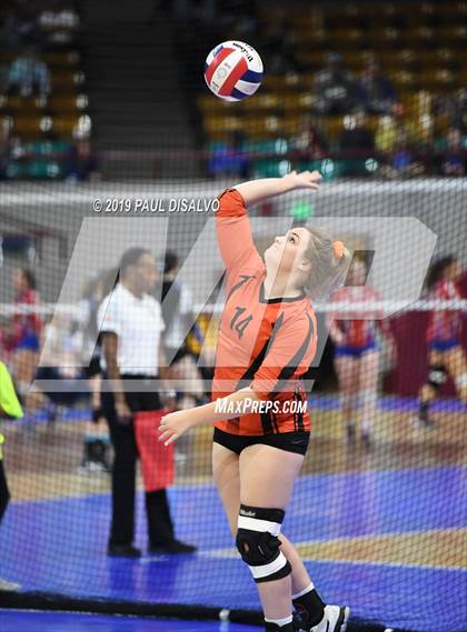 Thumbnail 1 in Lamar vs University (CHSAA 3A 3rd Round) photogallery.