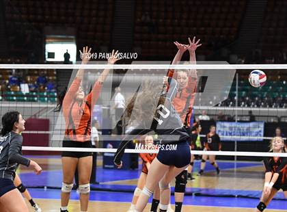 Thumbnail 1 in Lamar vs University (CHSAA 3A 3rd Round) photogallery.