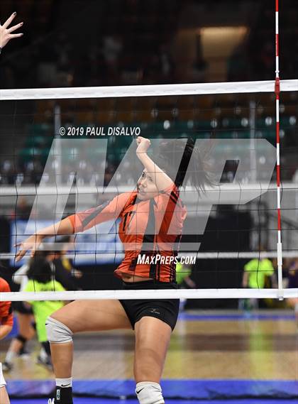 Thumbnail 3 in Lamar vs University (CHSAA 3A 3rd Round) photogallery.