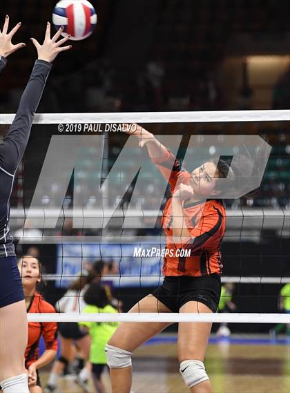 Thumbnail 2 in Lamar vs University (CHSAA 3A 3rd Round) photogallery.