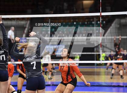 Thumbnail 3 in Lamar vs University (CHSAA 3A 3rd Round) photogallery.