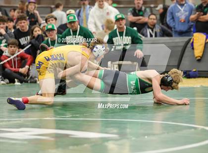 Thumbnail 1 in NIAA 3A Finals photogallery.