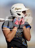 Photo from the gallery "Marana @ Mountain View"