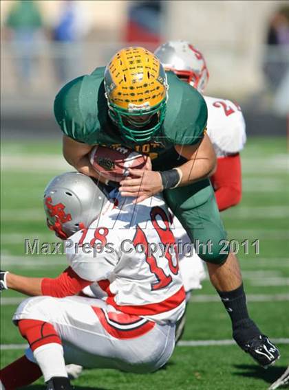 Thumbnail 1 in Stevenson vs. South Elgin (IHSA Class 8A Playoffs) photogallery.