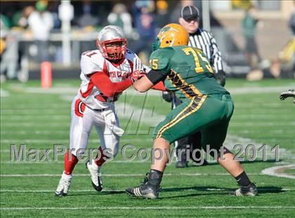 Thumbnail 3 in Stevenson vs. South Elgin (IHSA Class 8A Playoffs) photogallery.