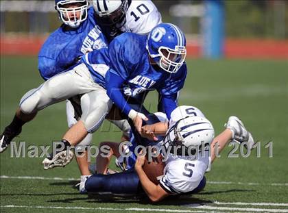 Thumbnail 3 in Wilton @ Darien photogallery.