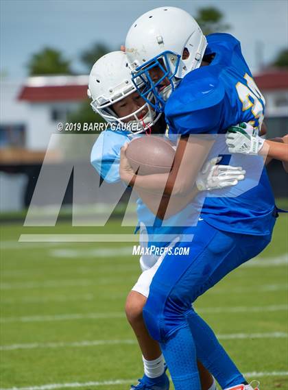 Thumbnail 3 in Marathon vs. Ransom Everglades photogallery.