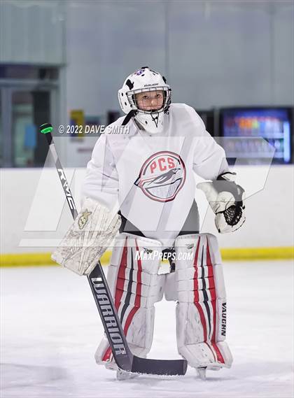 Thumbnail 3 in  Walled Lake Central/Walled Lake Western @ Plymouth/Canton/Salem photogallery.