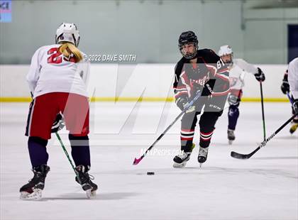 Thumbnail 3 in  Walled Lake Central/Walled Lake Western @ Plymouth/Canton/Salem photogallery.