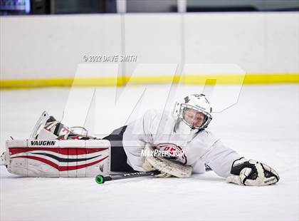 Thumbnail 3 in  Walled Lake Central/Walled Lake Western @ Plymouth/Canton/Salem photogallery.
