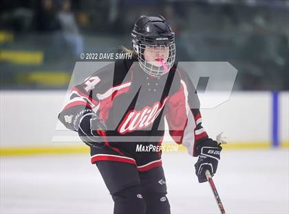 Thumbnail 2 in  Walled Lake Central/Walled Lake Western @ Plymouth/Canton/Salem photogallery.