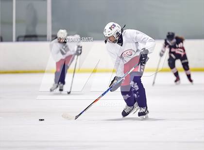 Thumbnail 1 in  Walled Lake Central/Walled Lake Western @ Plymouth/Canton/Salem photogallery.
