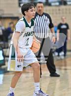 Photo from the gallery "Columbine @ Bear Creek"